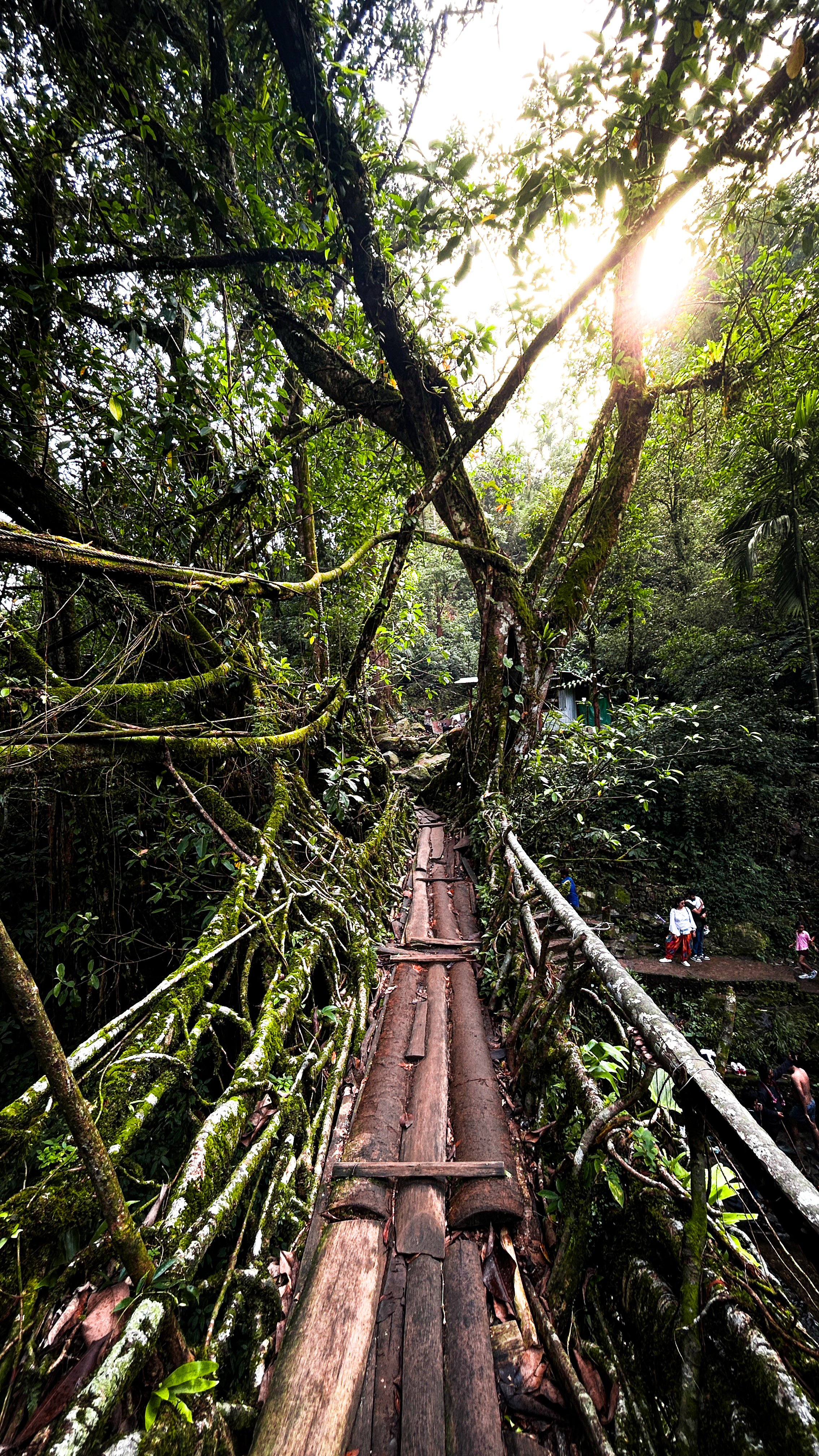 Nature Photography by Amit Bhitria